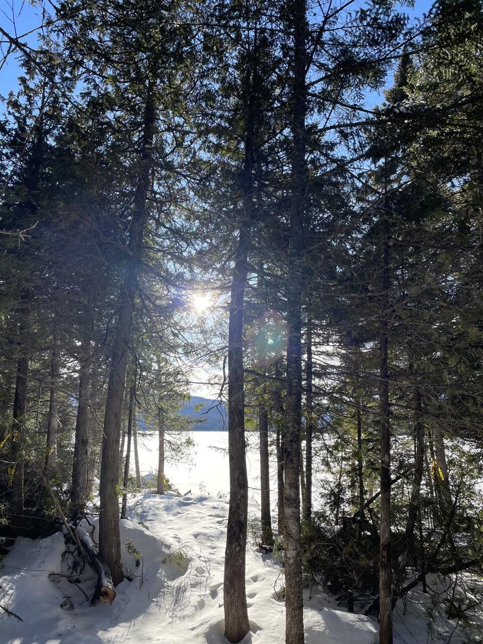 117 Pleasant Island Road Oquossoc, ME 04964 - Photo 26 of 45 IMG_7105 Large