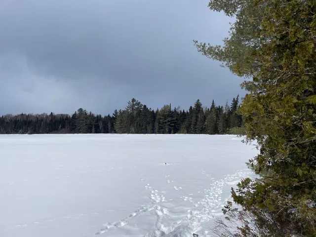 $495,000 | 117 Pleasant Island Road, Oquossoc, ME 04964