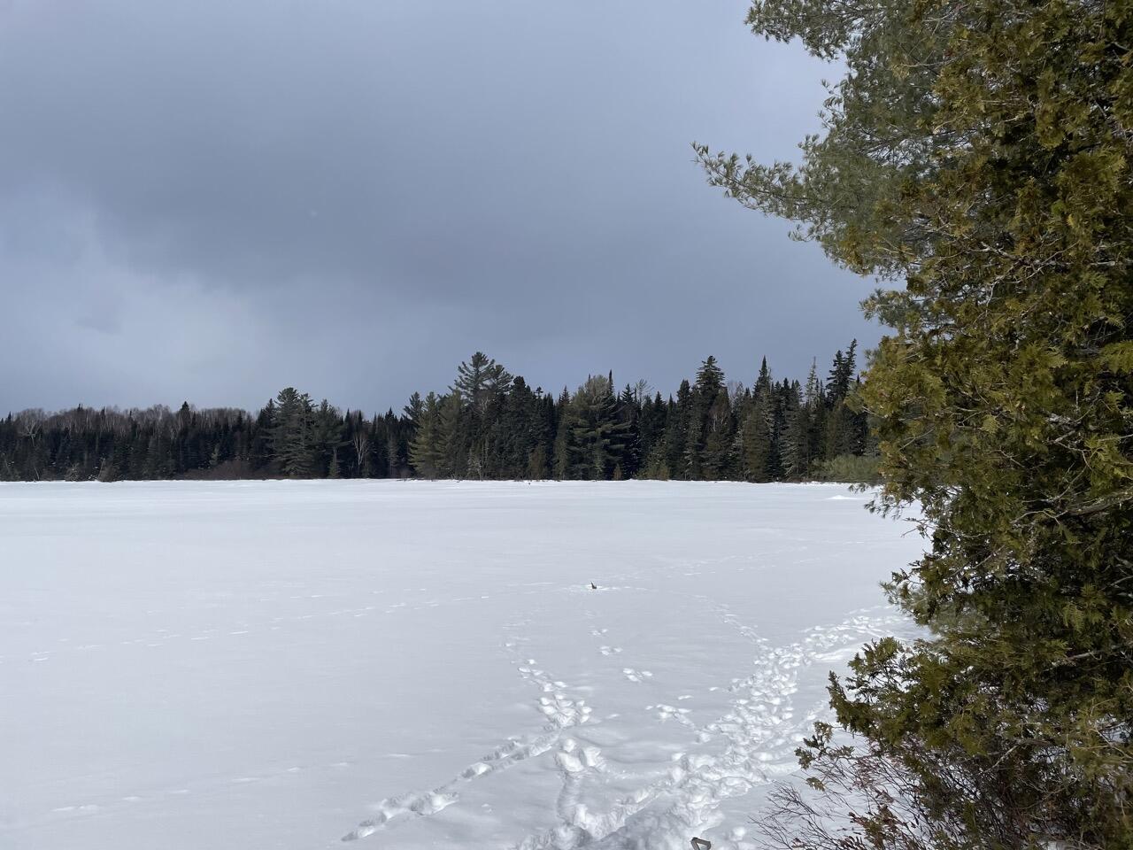 117 Pleasant Island Road Oquossoc, ME 04964 - Photo 28 of 45 IMG_7138 Large