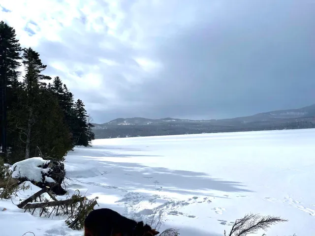 $495,000 | 117 Pleasant Island Road, Oquossoc, ME 04964