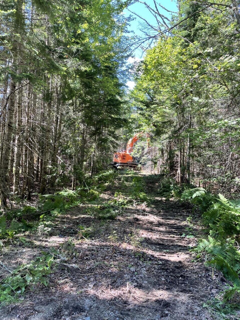 117 Pleasant Island Road Oquossoc, ME 04964 - Photo 31 of 45 IMG_8649 Large