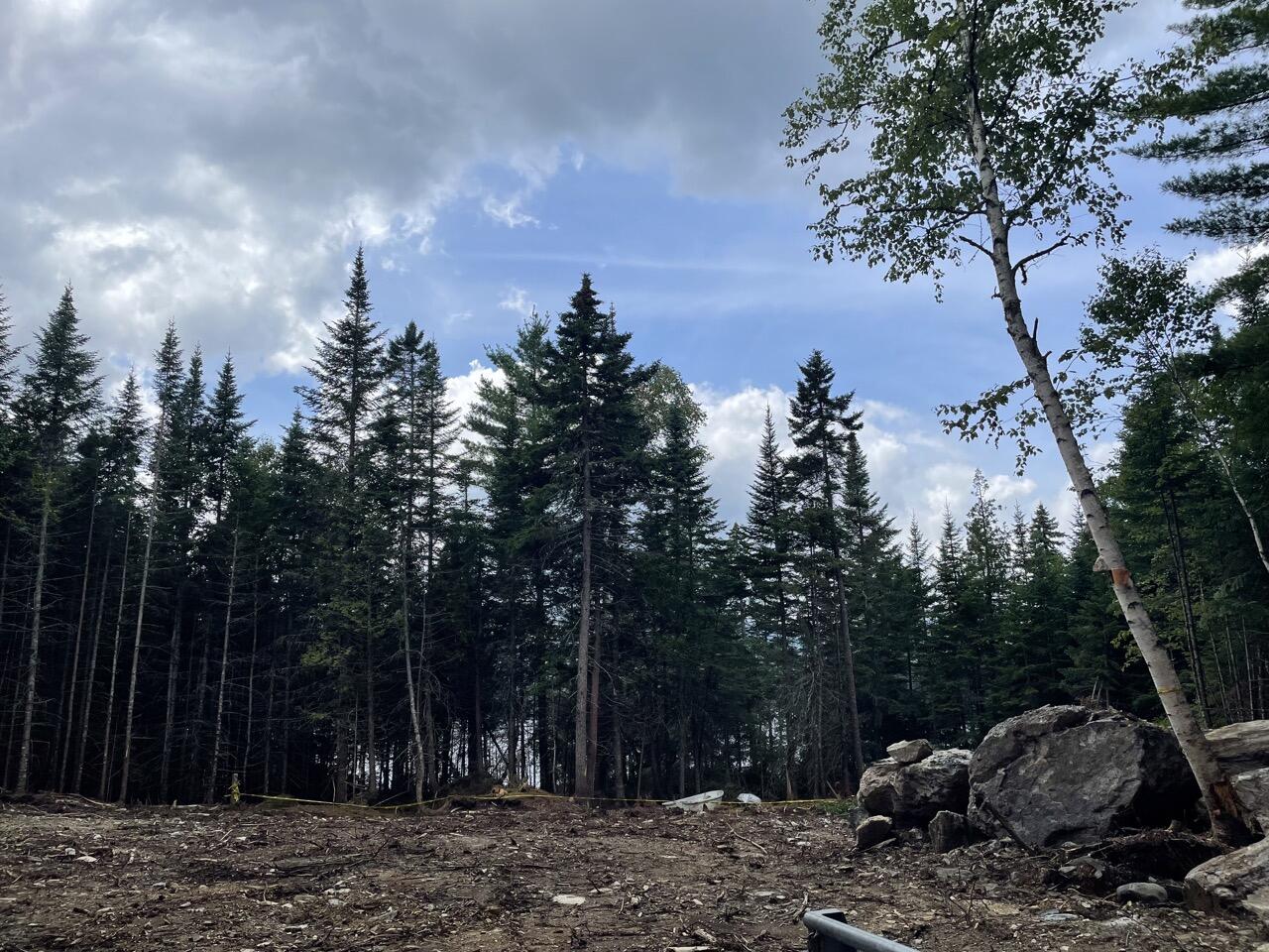 117 Pleasant Island Road Oquossoc, ME 04964 - Photo 32 of 45 IMG_9748 Large