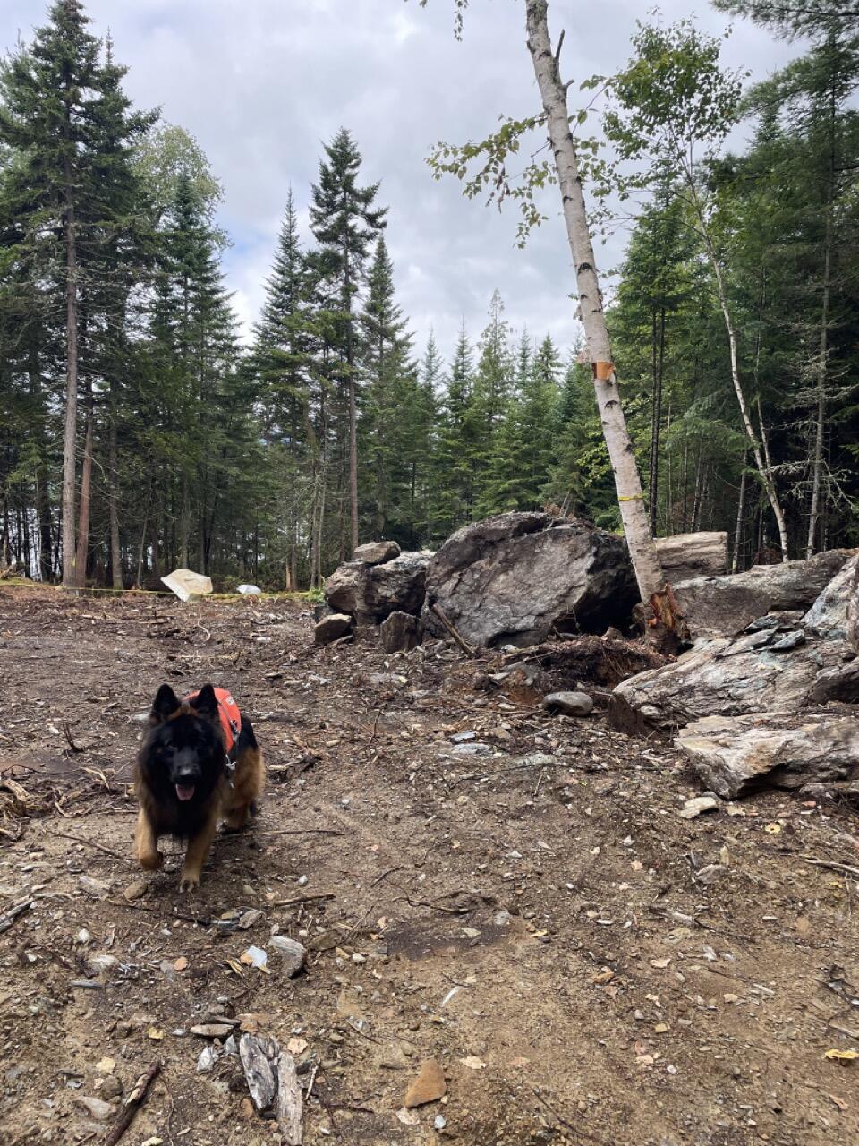 117 Pleasant Island Road Oquossoc, ME 04964 - Photo 35 of 45 IMG_9763 Large