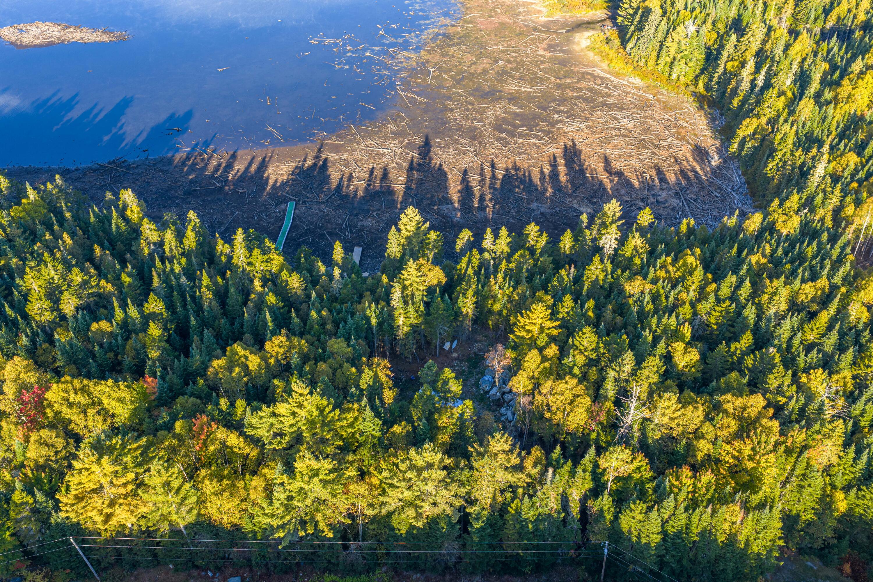 117 Pleasant Island Road Oquossoc, ME 04964 - Photo 4 of 45 Mark Leathers MLS 9.22.25-7