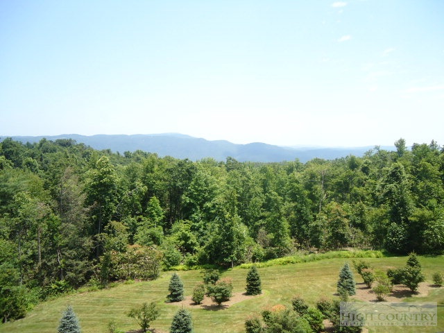 2077 Little Laurel Road Boone, NC 28607 - Photo 8 of 22 Gallery Image 8