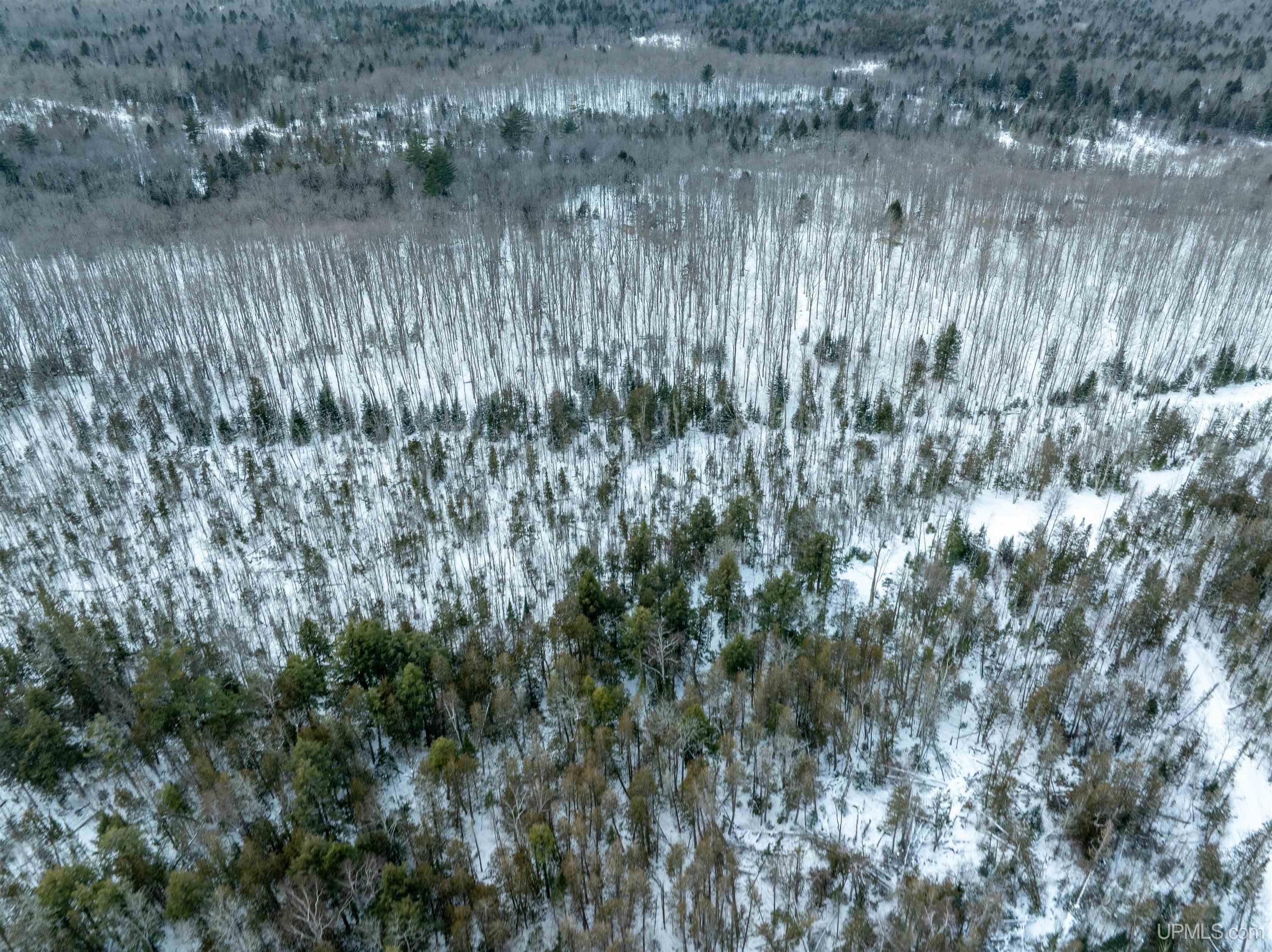 N7228 Rock River Road Deerton, MI 49822 - Photo 42 of 46