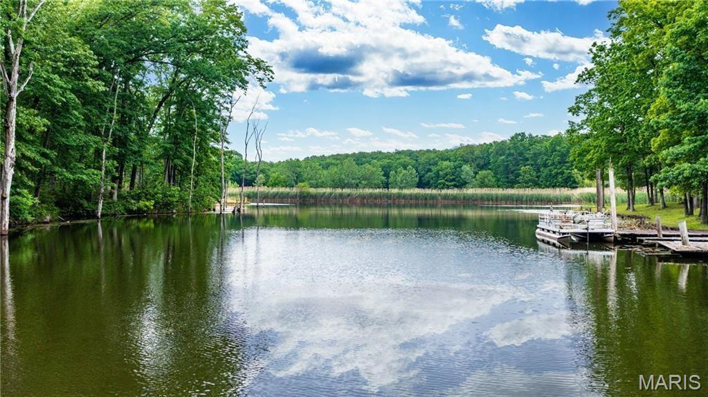 3153 North 2225 Street Beecher City, IL 62414 - Photo 30 of 33