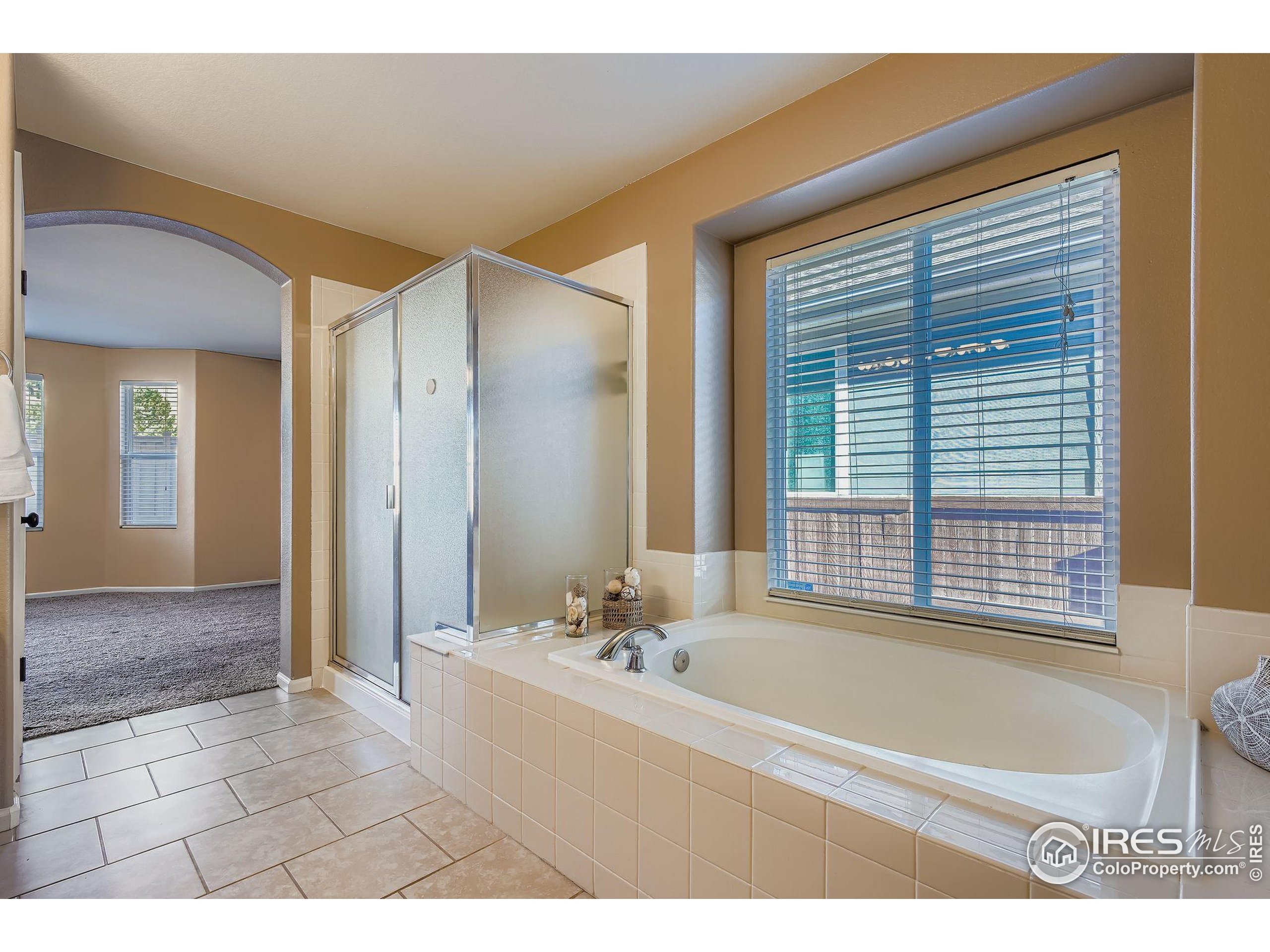 2011 Alpine Drive Erie, CO 80516 - Photo 14 of 21 a bathroom with a bathtub and a sink