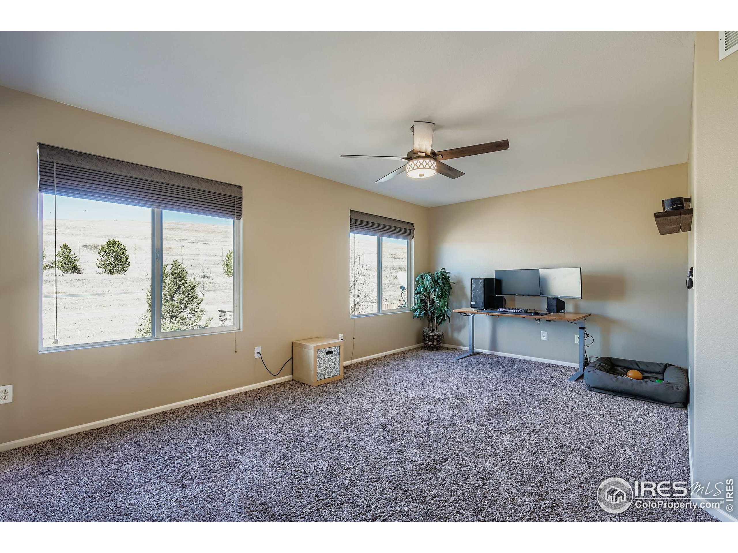2011 Alpine Drive Erie, CO 80516 - Photo 16 of 21 a living room with furniture and a window