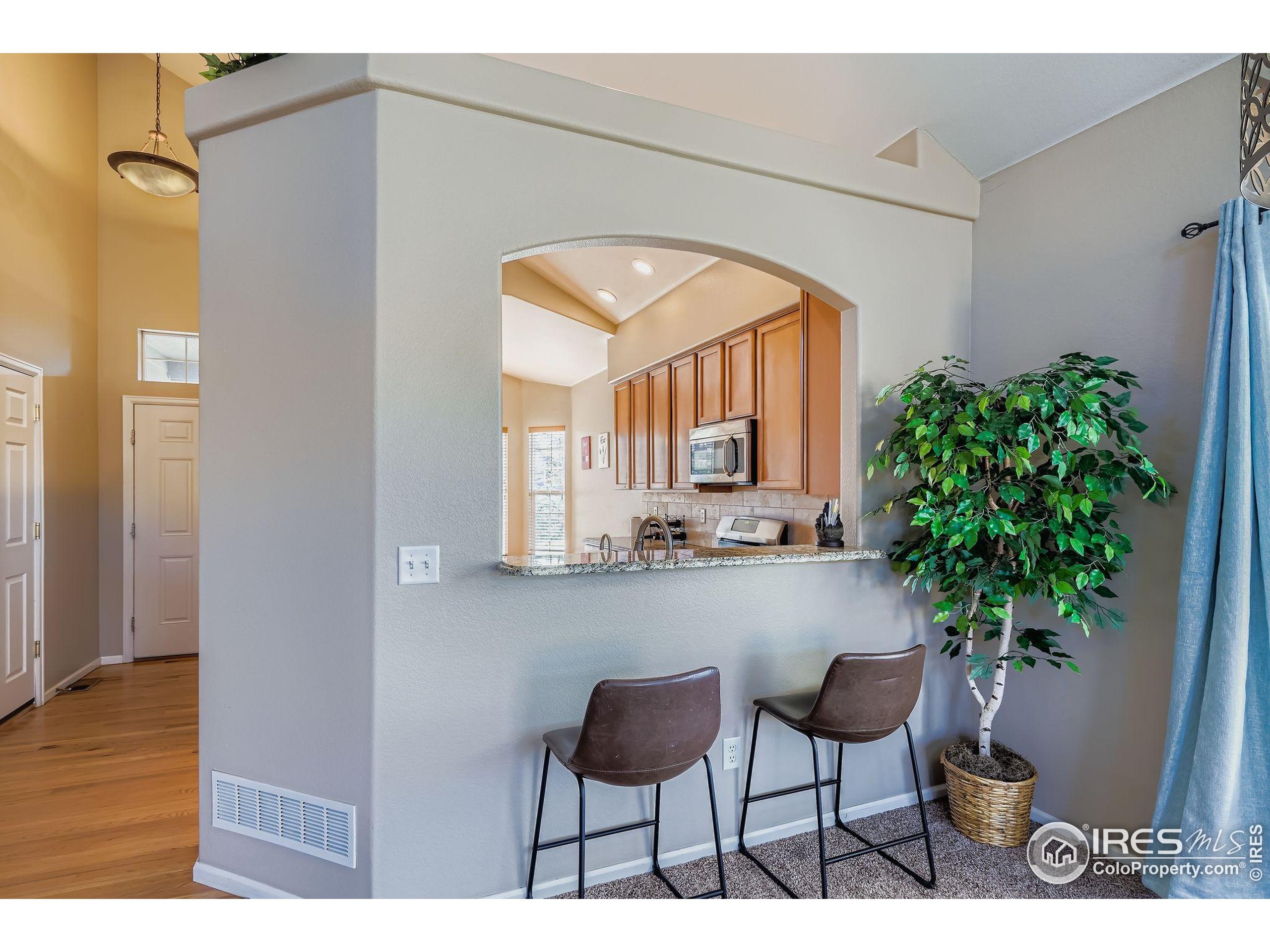 2011 Alpine Drive Erie, CO 80516 - Photo 6 of 21 a living room with furniture and a potted plant
