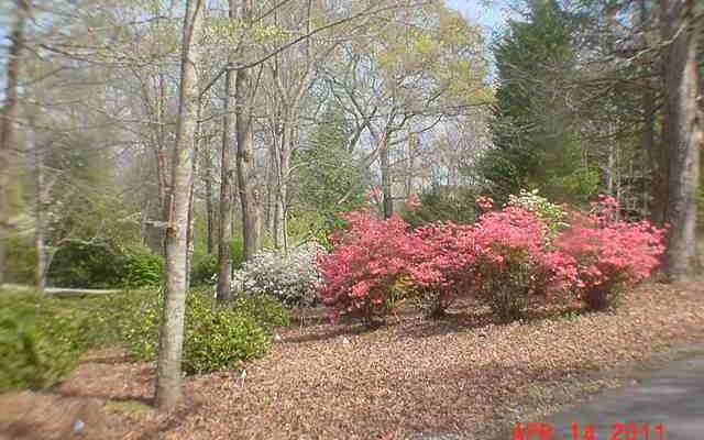 3451 Harshaw Road Murphy, NC 28906 - Photo 52 of 56 Additional View