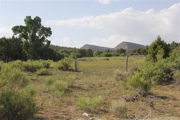 491.34-ac Mineral Spring Road Mount Carmel, UT 84755 - Photo 21 of 43 20260730223240778210000000-o