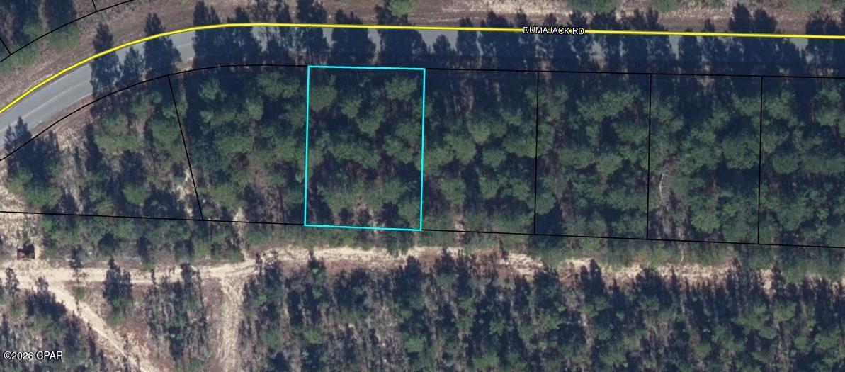 Lot 3 Dumajack Road Chipley, FL 32428 - Photo 7 of 30