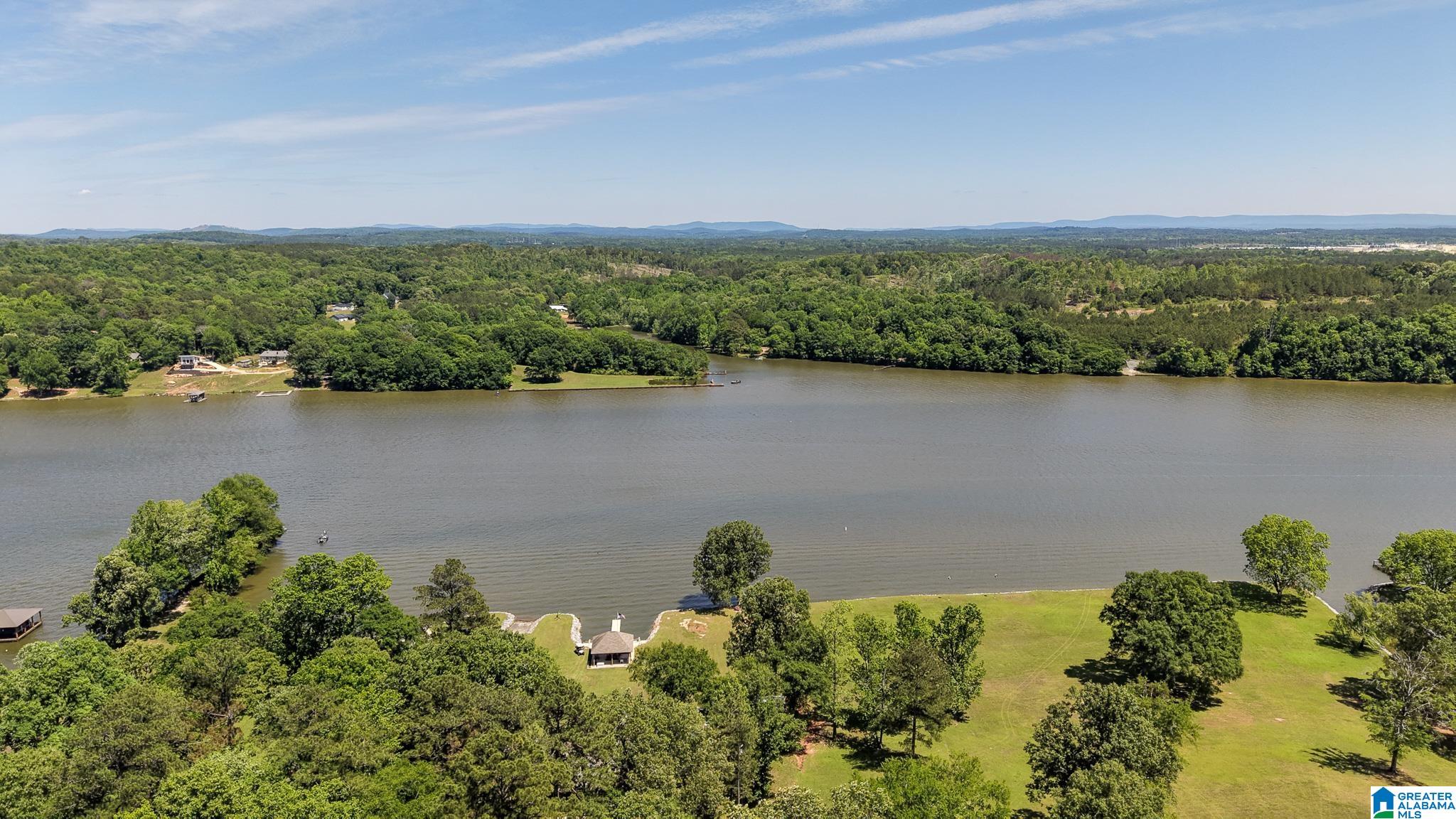 885 Lock 4 Road Riverside, AL 35135 - Photo 2 of 68