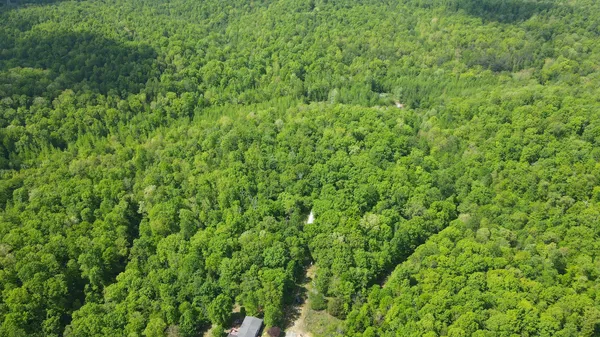 a view of a lush green space