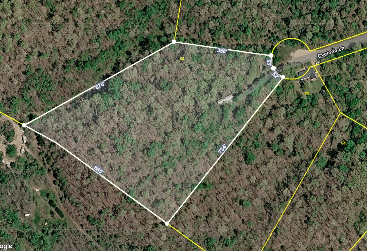 578 Cyclone Lane Waverly, TN 37185 - Photo 3 of 9 a view of a forest with a tree
