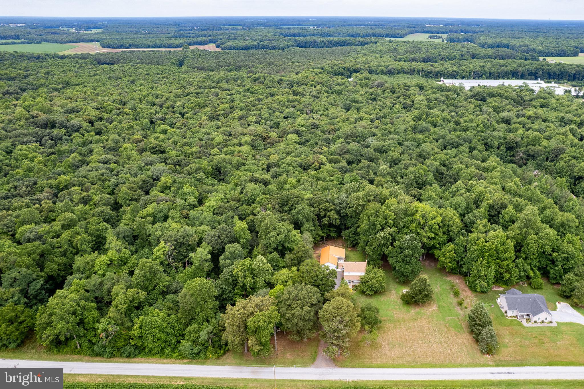 10348 Memory Road Harrington, DE 19952 - Photo 22 of 56 Endless trees