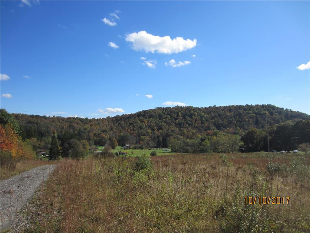 1661 Conn Road Confluence, PA 15424 - Photo 21 of 22