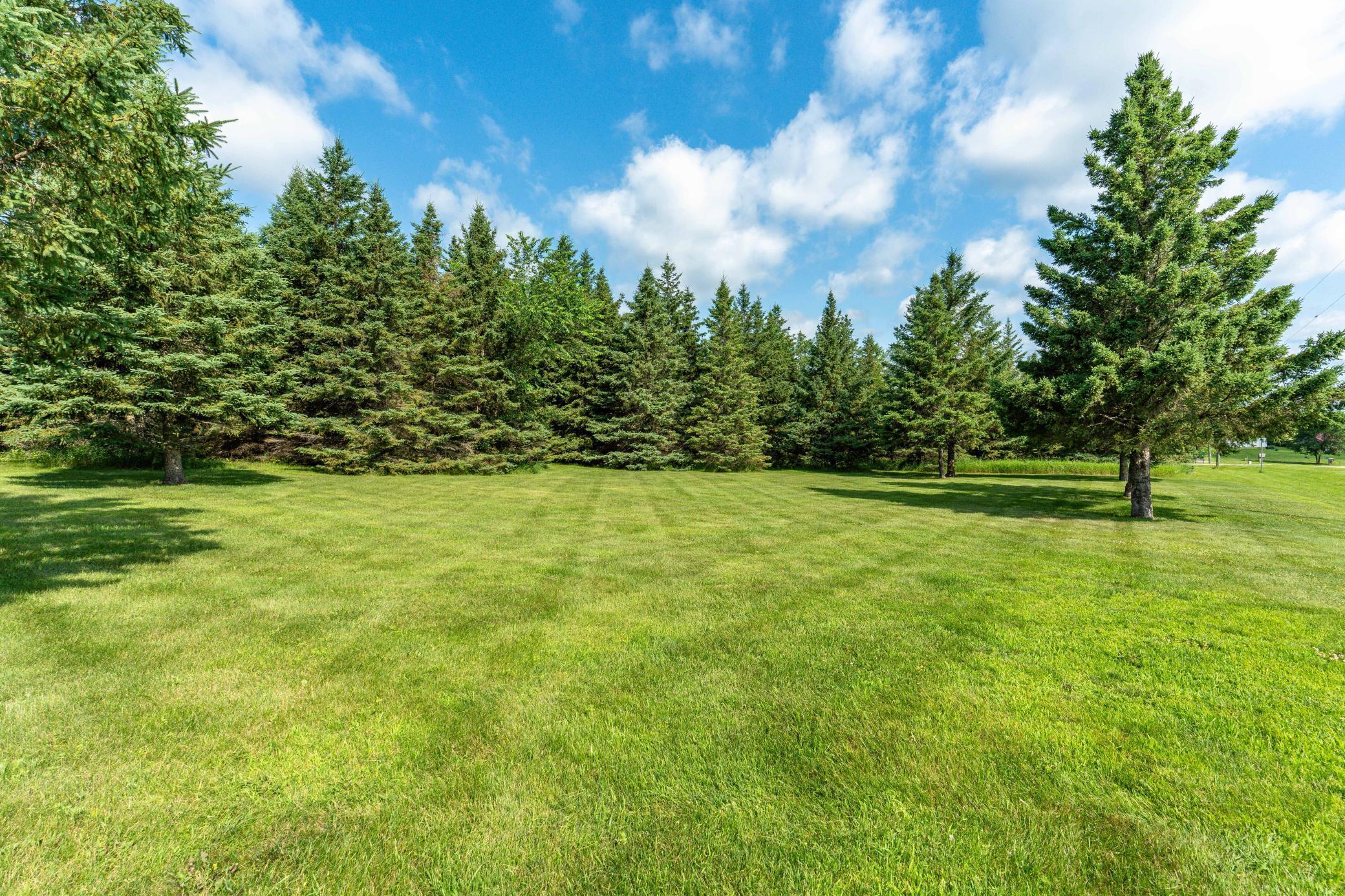 39883 North Clitherall Lake Road Clitherall, MN 56524 - Photo 12 of 94