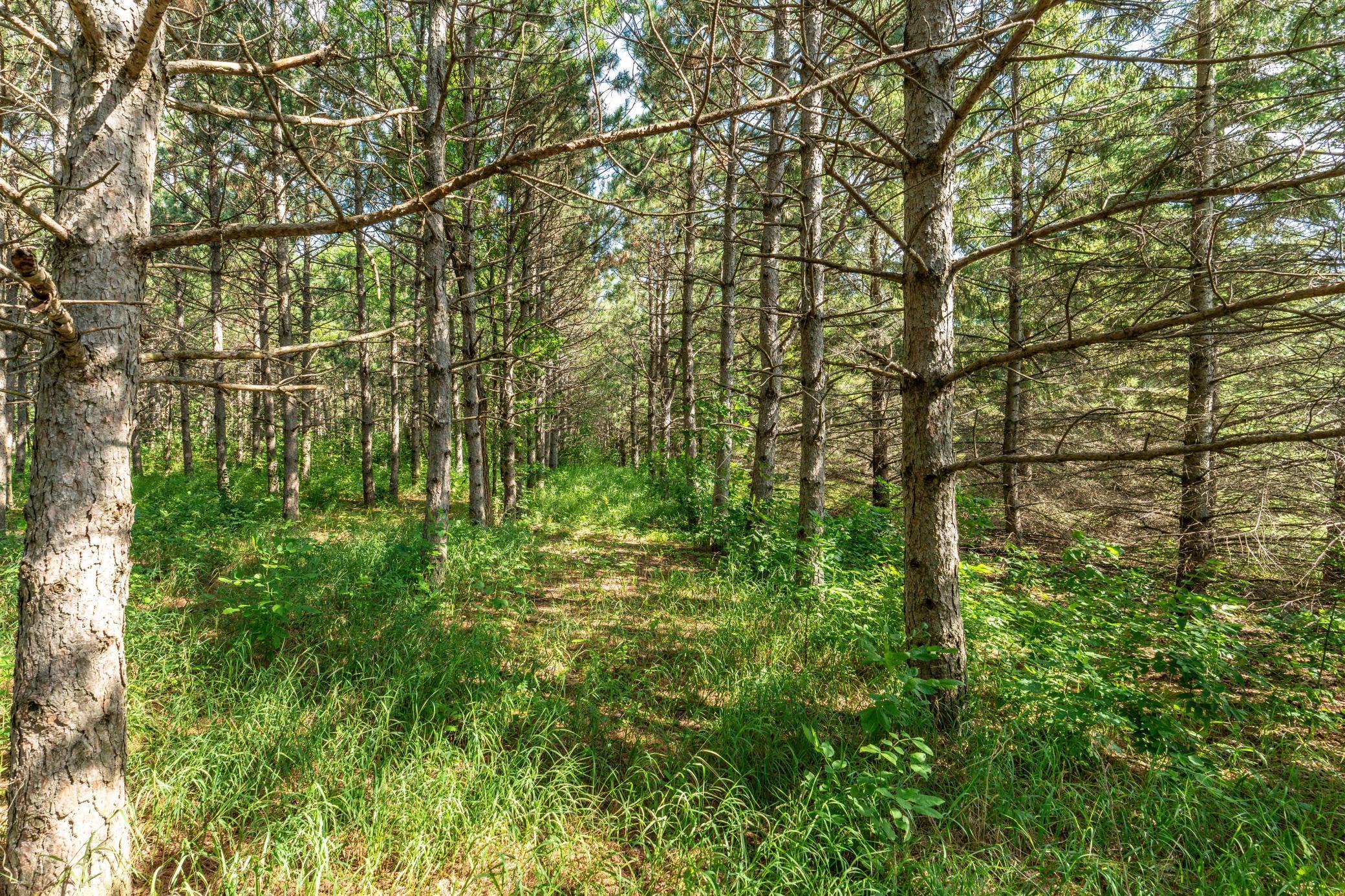 39883 North Clitherall Lake Road Clitherall, MN 56524 - Photo 90 of 94