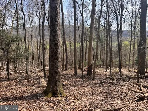a view of outdoor space with lots of trees