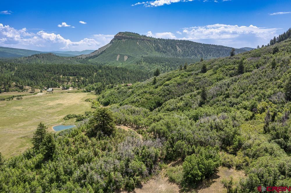 352 East Destination Ranch Road Durango, CO 81301 - Photo 3 of 14 Gallery Image 3