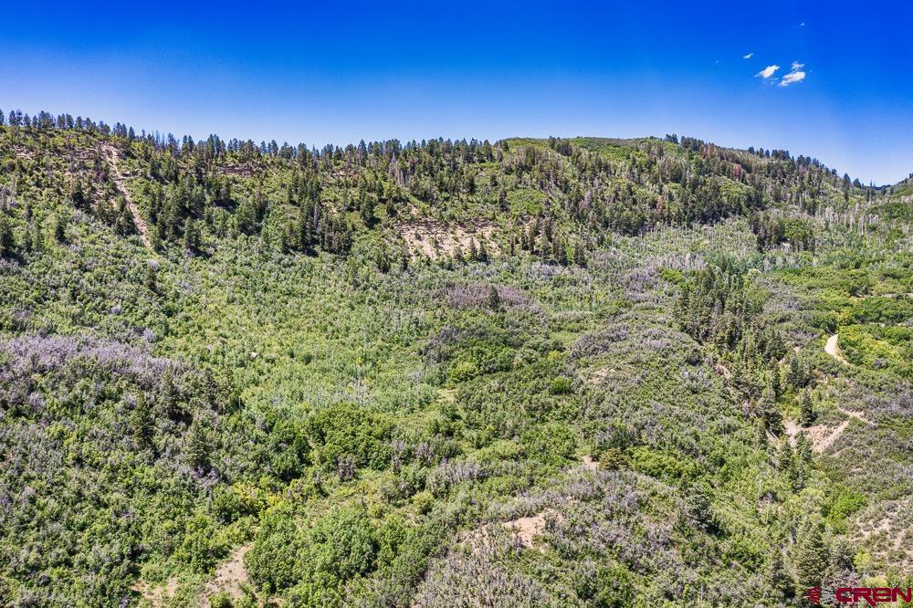 352 East Destination Ranch Road Durango, CO 81301 - Photo 6 of 14 Gallery Image 6
