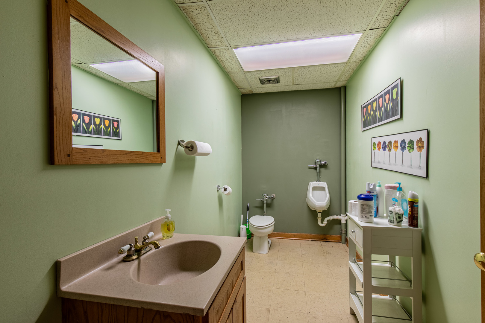 825 North Pleasant Street Princeton, IL 61356 - Photo 13 of 32 a bathroom with a sink mirror and toilet