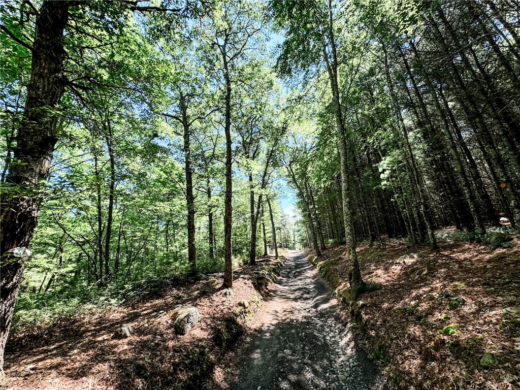 158 Pauchaug Trail Exeter, RI 02822 - Photo 7 of 20 The 1.3 Mile drive in