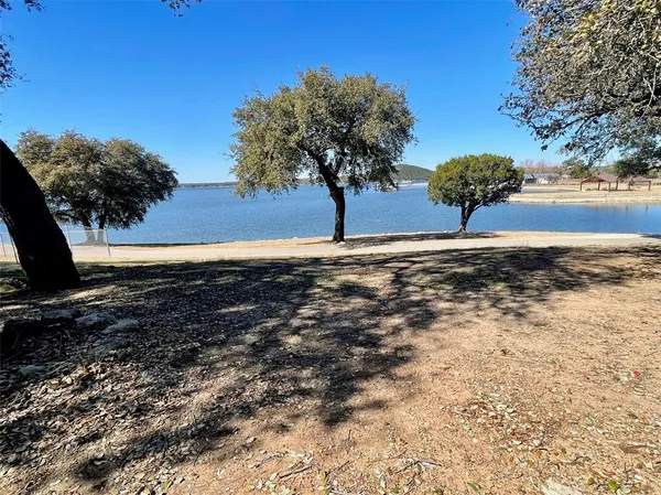 a view of a yard with a tree