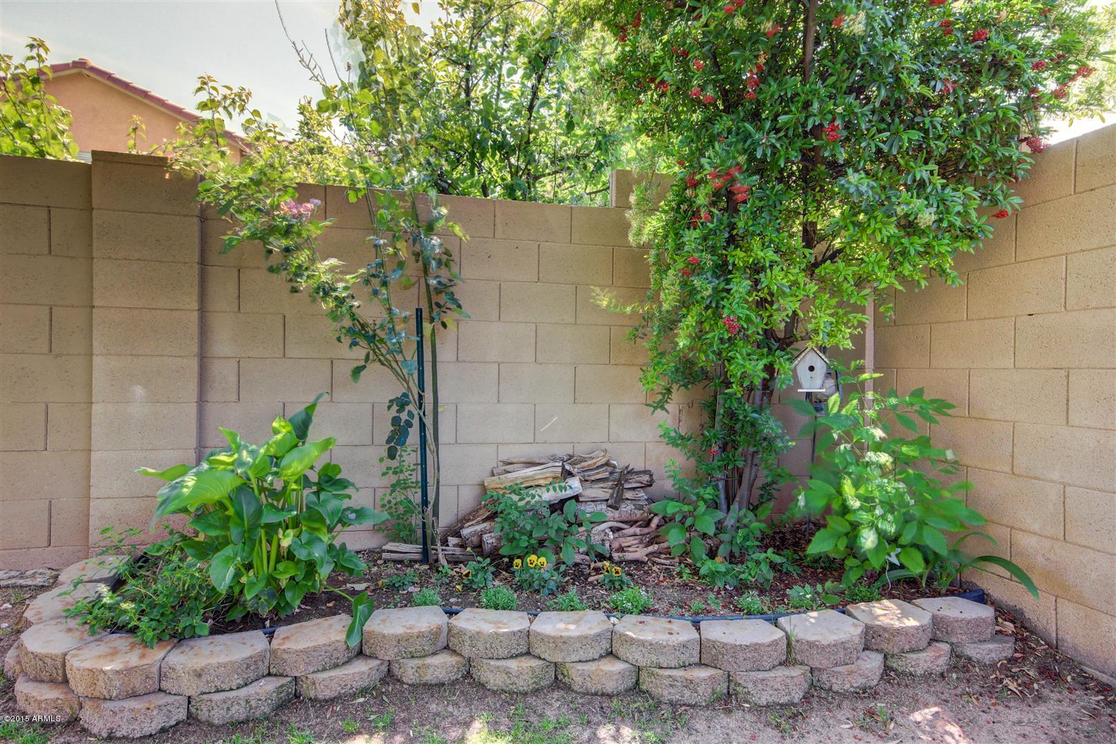 2925 West Tanner Ranch Road Queen Creek, AZ 85144 - Photo 29 of 33 036_BACKYARD.jpg