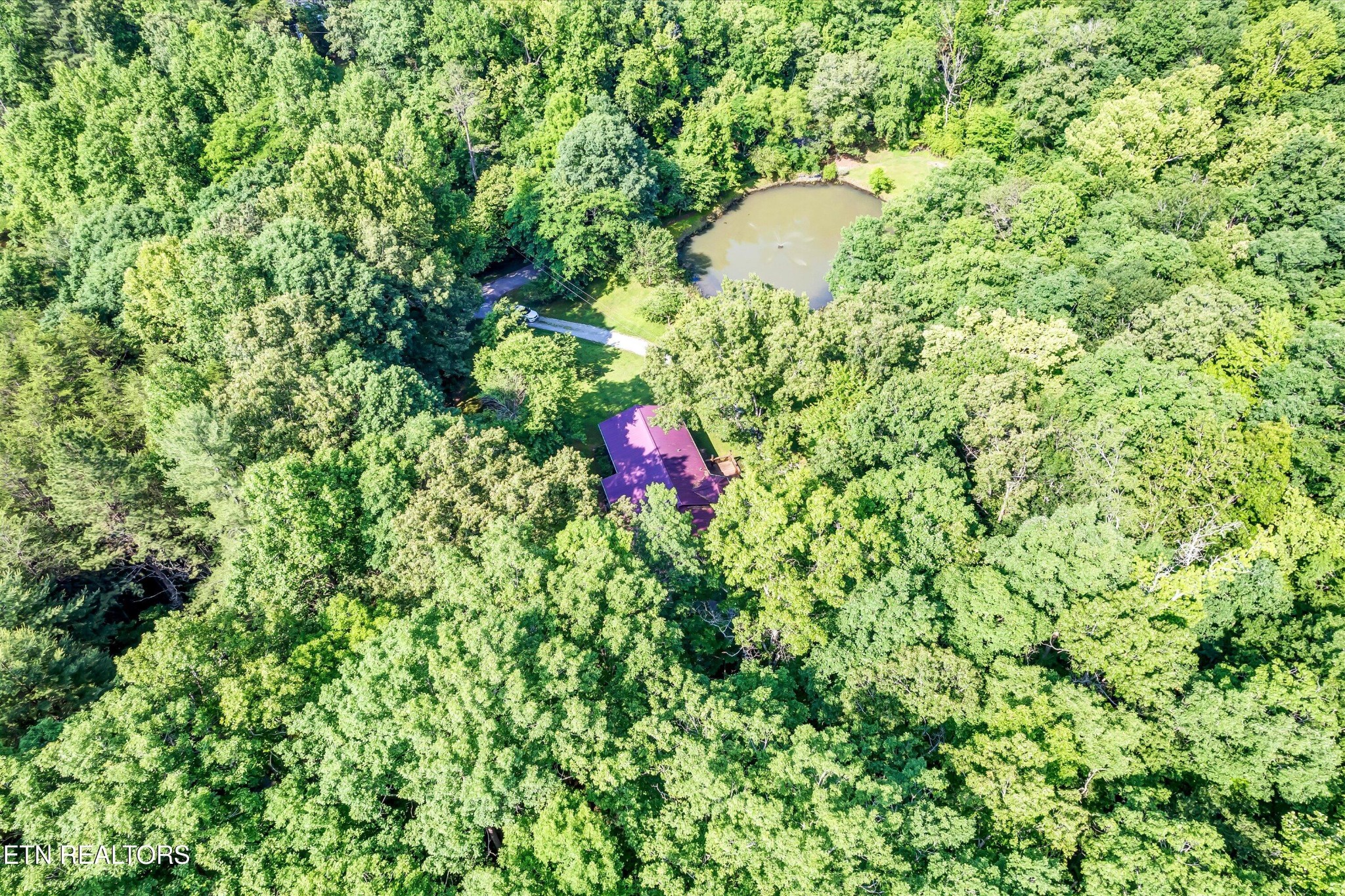 152 Spring Lane Philadelphia, TN 37846 - Photo 58 of 59 Gallery Image 58