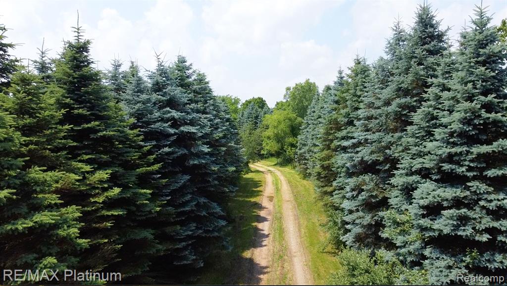 6450 Fisher Road Howell, MI 48855 - Photo 31 of 44