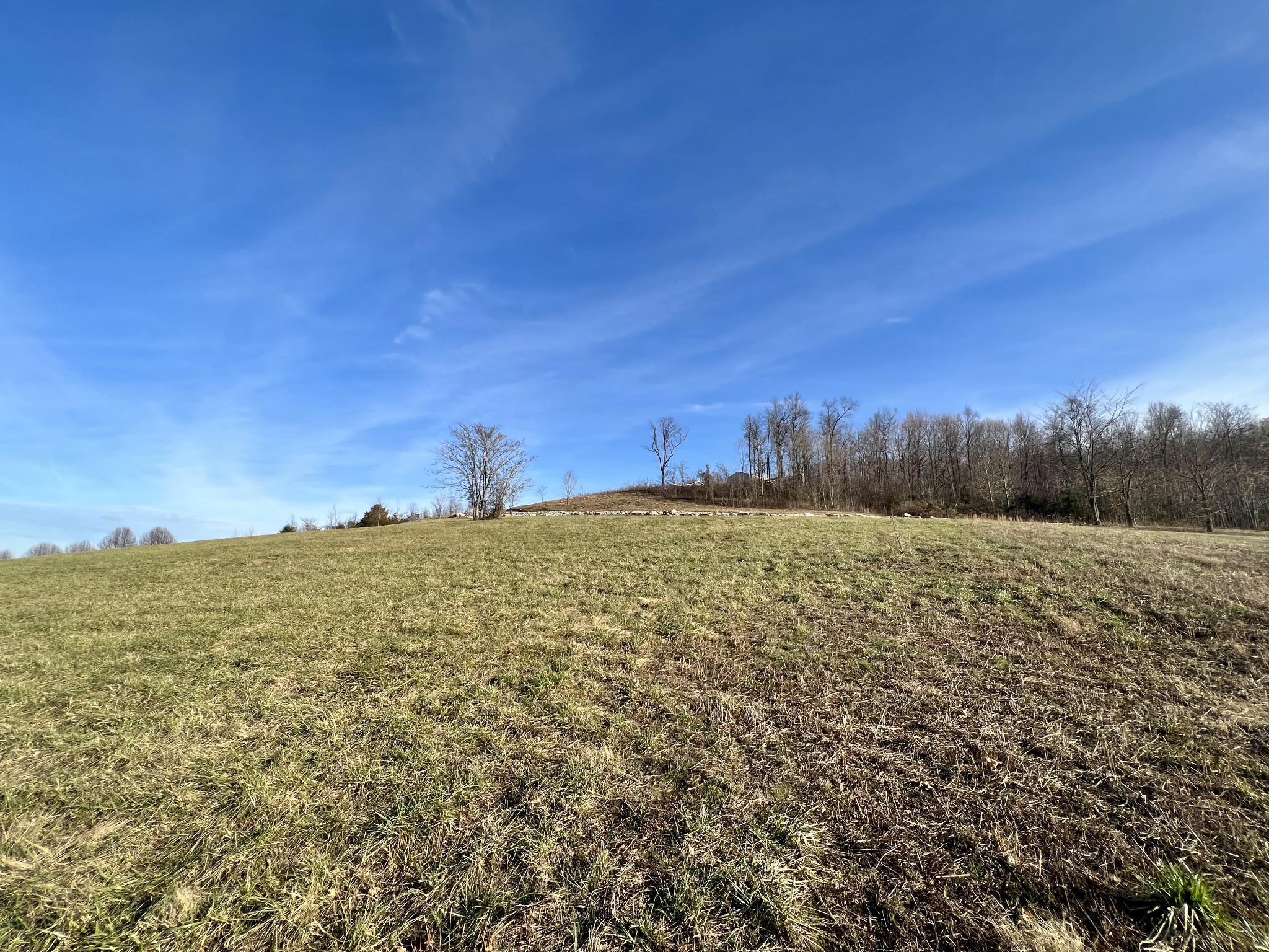 0 Bethlehem Road Rickman, TN 38580 - Photo 10 of 13 Gallery Image 10