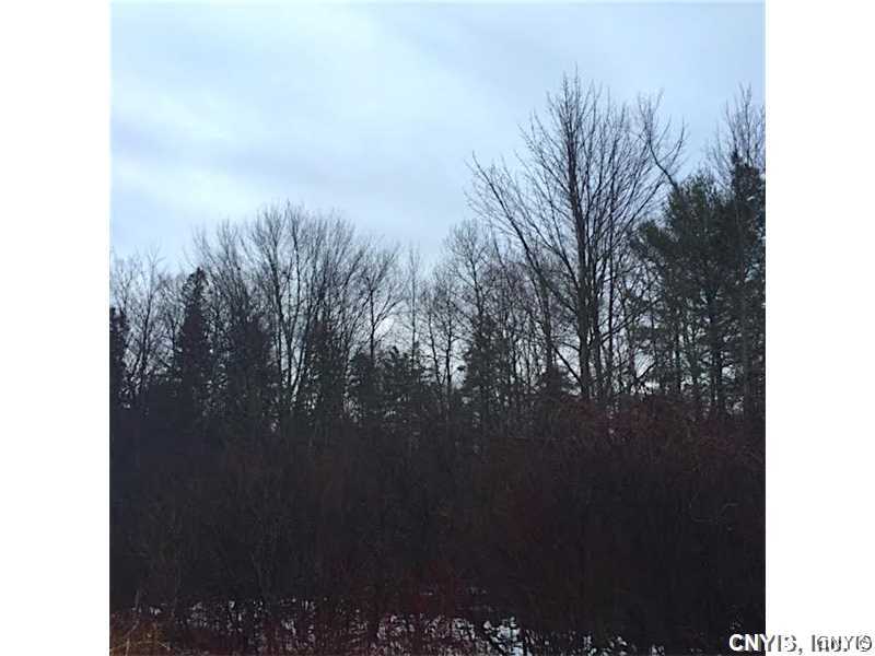 255 Orton Road Pulaski, NY 13142 - Photo 2 of 7