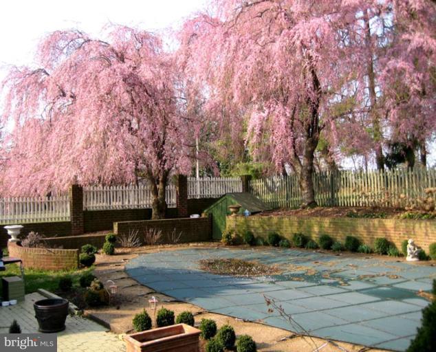 40694 Farm Market Road Leesburg, VA 20176 - Photo 18 of 30 a view of a yard with an outdoor space