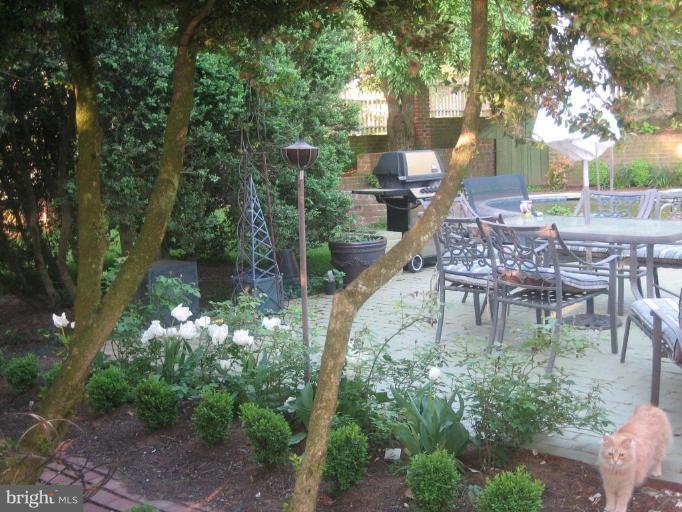 40694 Farm Market Road Leesburg, VA 20176 - Photo 29 of 30 a view of yard with green space and seating area