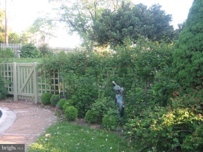 40694 Farm Market Road Leesburg, VA 20176 - Photo 30 of 30 a view of a yard with large trees