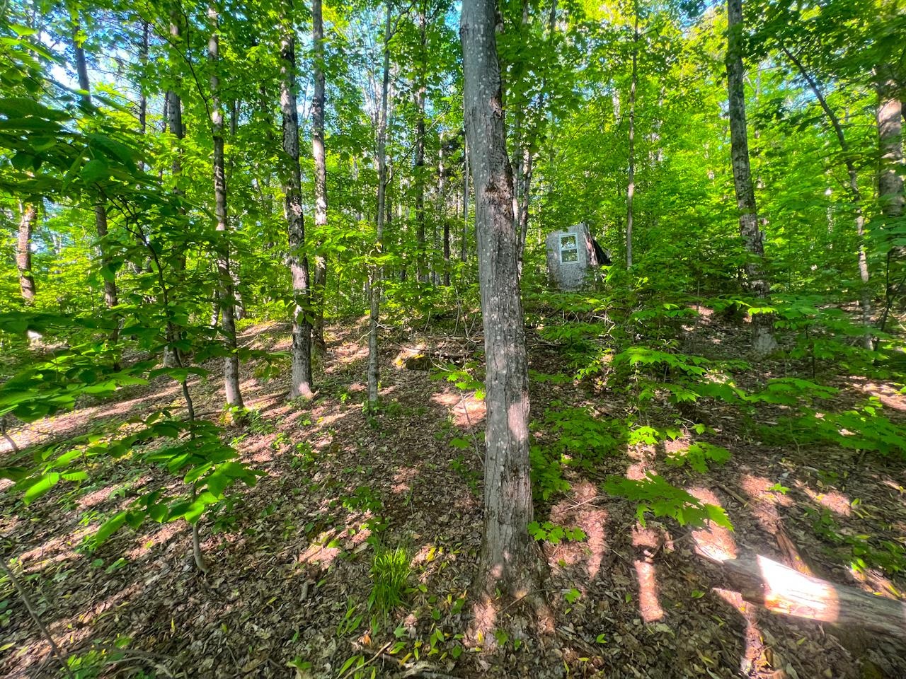 6-7 High View Road Warren, VT 05674 - Photo 19 of 29