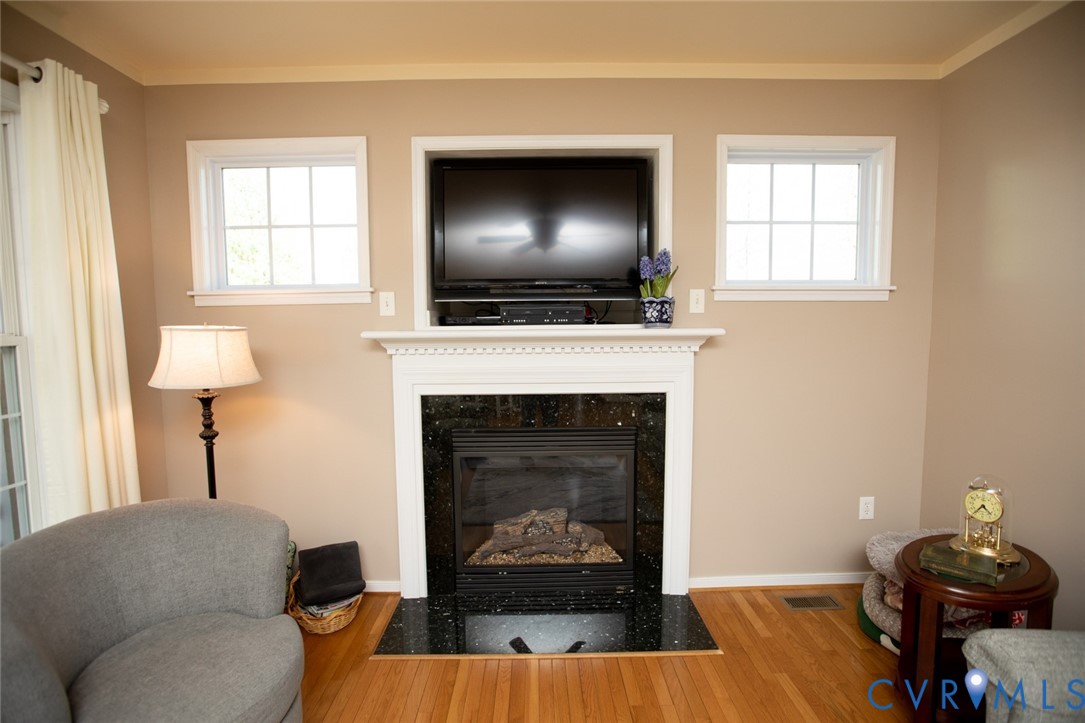 110 Jesse's Way Farmville, VA 23901 - Photo 24 of 56 a living room with furniture a flat screen tv and a fireplace