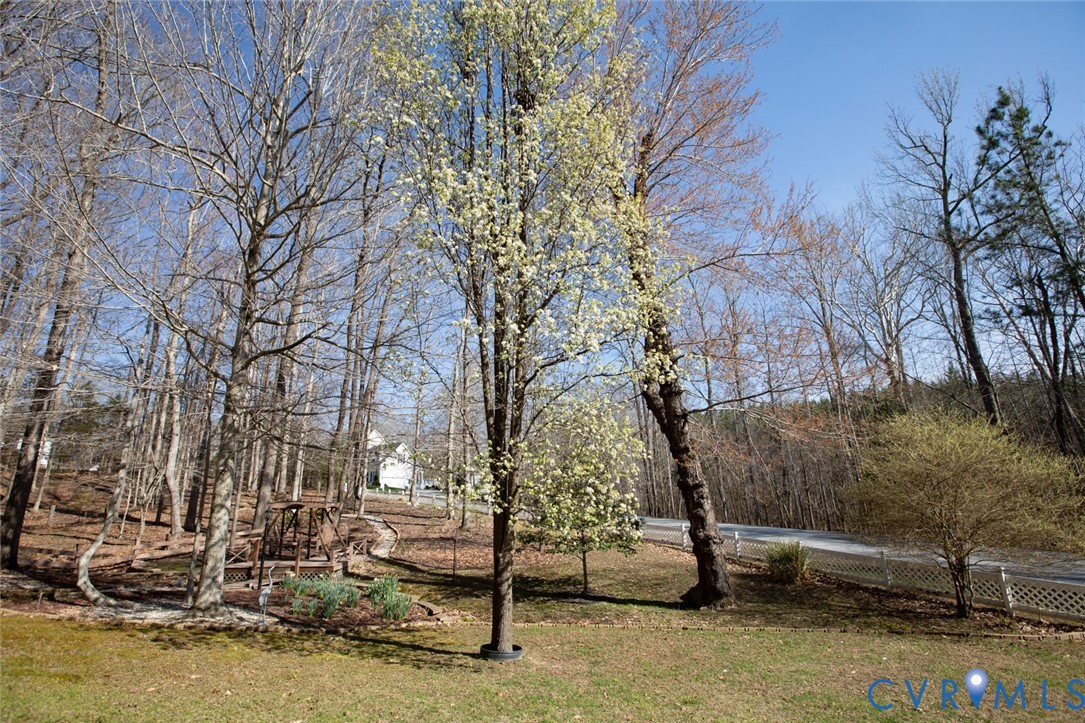 110 Jesse's Way Farmville, VA 23901 - Photo 47 of 56 a backyard of a house with lots of green space