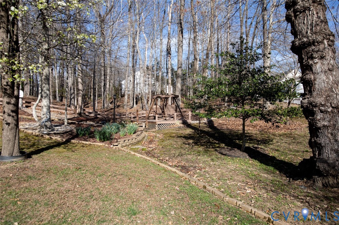 110 Jesse's Way Farmville, VA 23901 - Photo 52 of 56 a view of a yard with trees