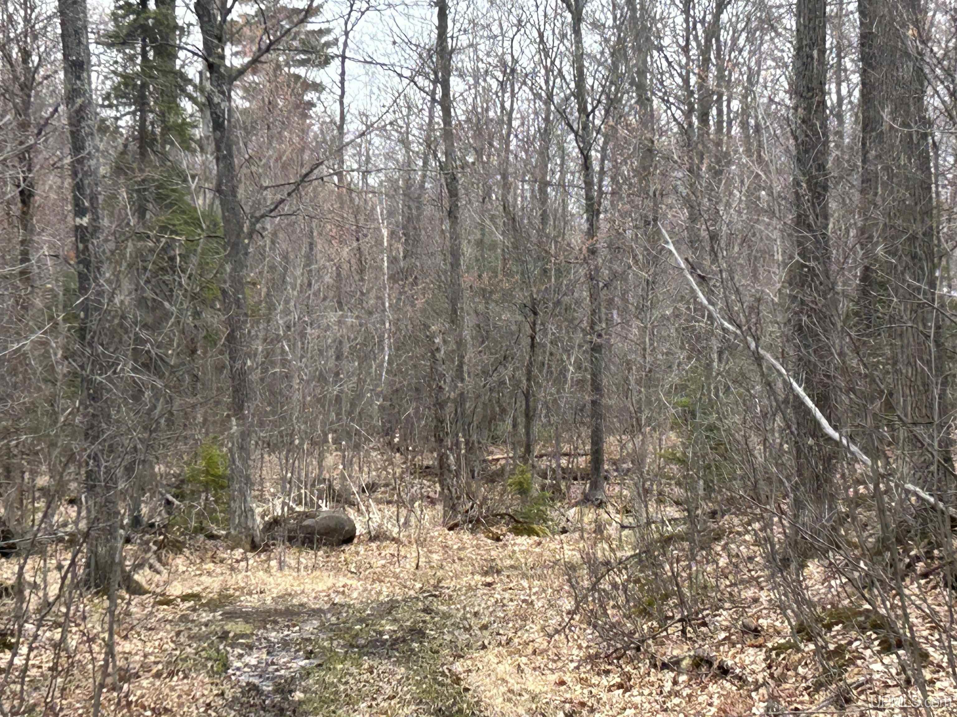 Near Krooks Road Negaunee, MI 49866 - Photo 9 of 15