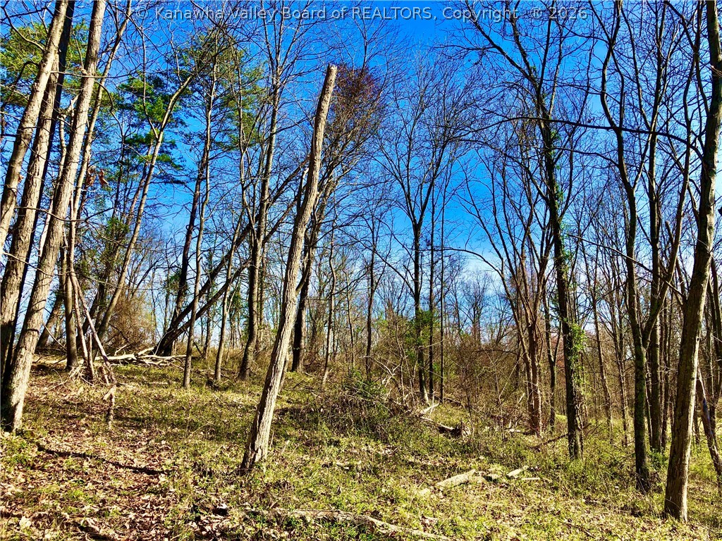 328 Kens Lake Estates Road Winfield, WV 25213 - Photo 8 of 14 Gallery Image 8