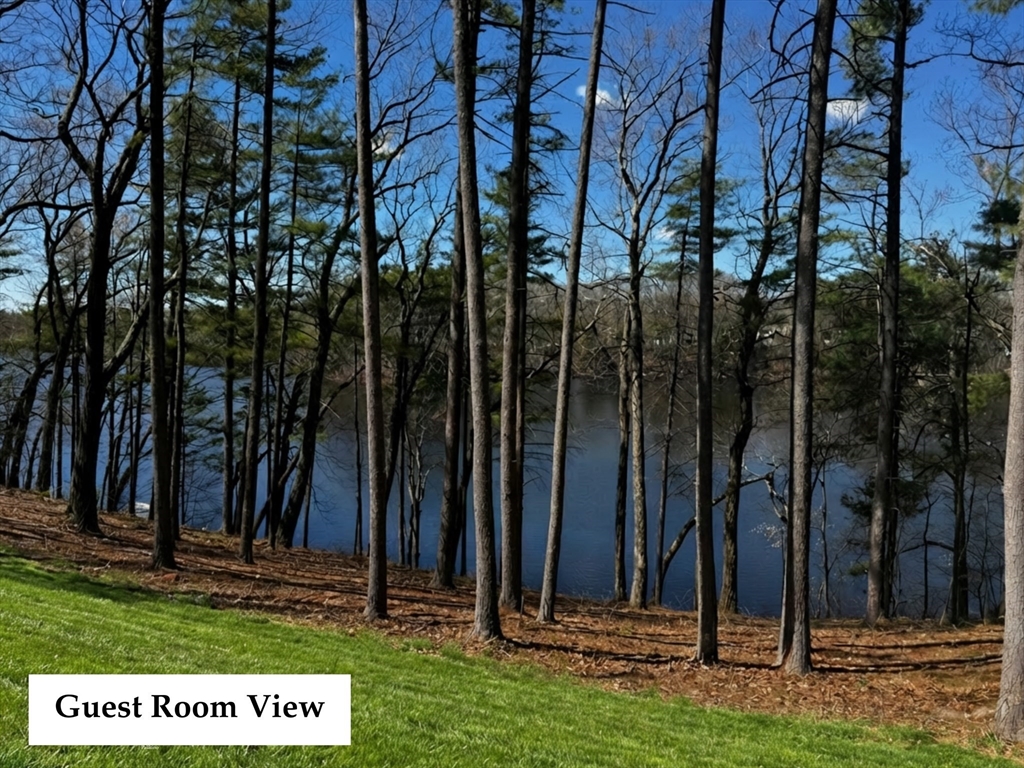 31 Arcadia Road Natick, MA 01760 - Photo 9 of 20 a view of outdoor space with garden