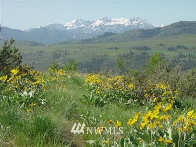 111 Prospect Road Winthrop, WA 98862 - Photo 1 of 1 Gallery Image 1