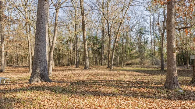 a view of a yard with trees