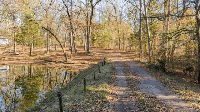 a view of a yard with trees