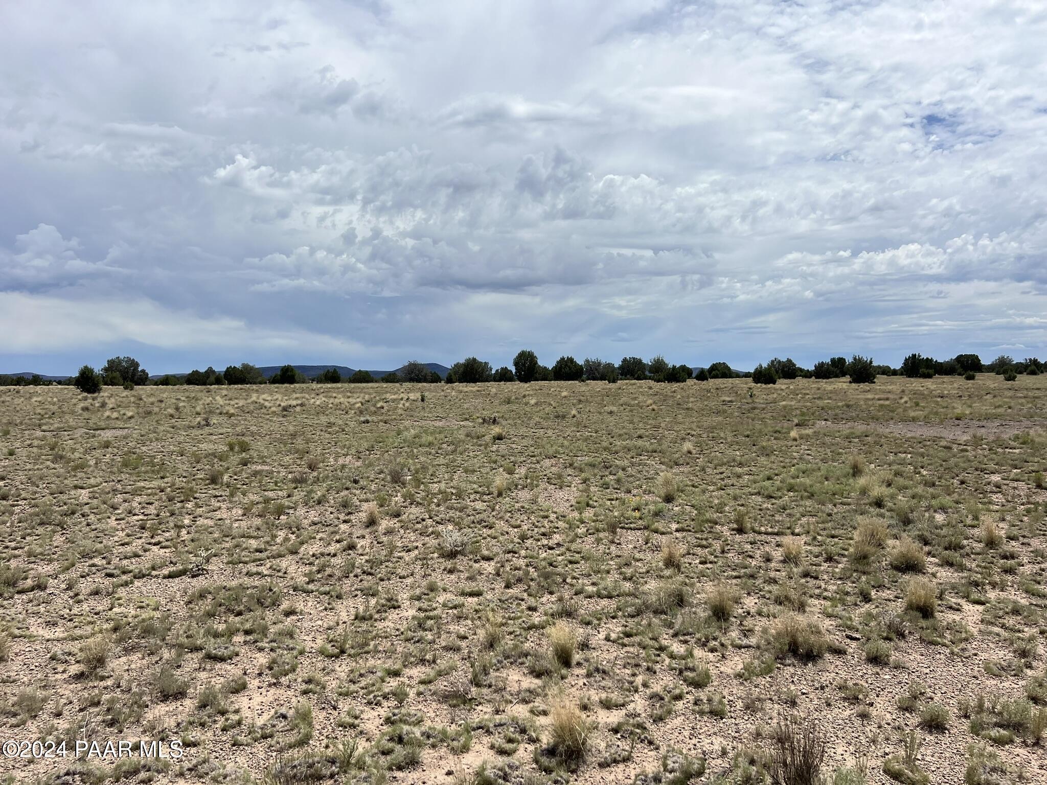 62 Outback Road Ash Fork, AZ 86320 - Photo 7 of 13 IMG_6385