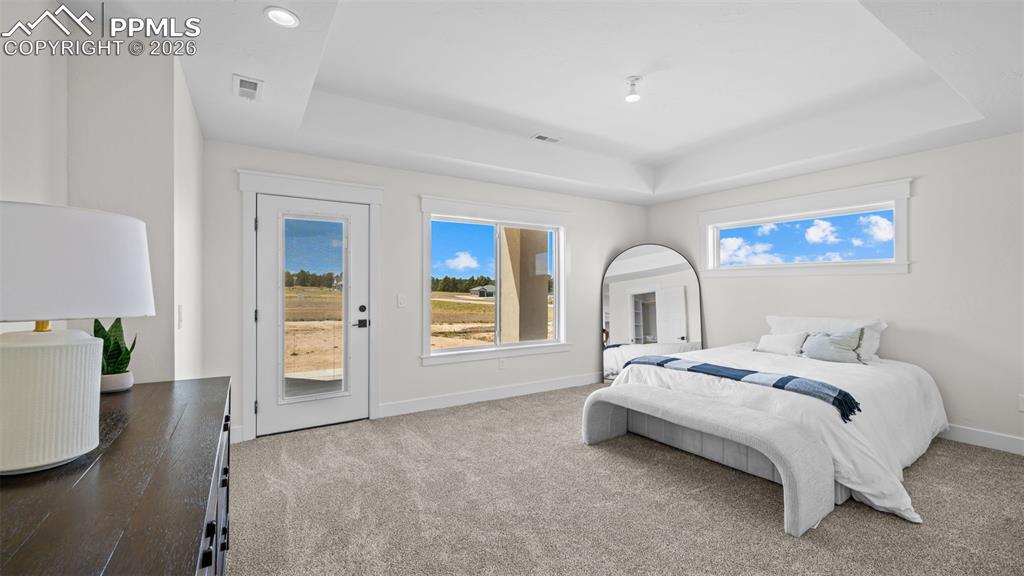 11619 Rambling Road Colorado Springs, CO 80908 - Photo 37 of 47